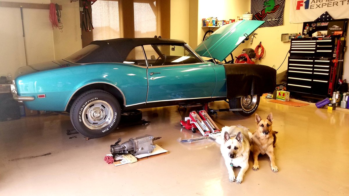gearhead1014's tweet photo. Patiently waiting for the new #tkx600 5 speed for the car. Hope to have it in a week or so. Also completing the rest of the #qa1 suspension upgrades. The girls helped also. #GermanShepherd #gsd https://t.co/JUy6W47E7I