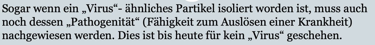 Sven Clement tweet media