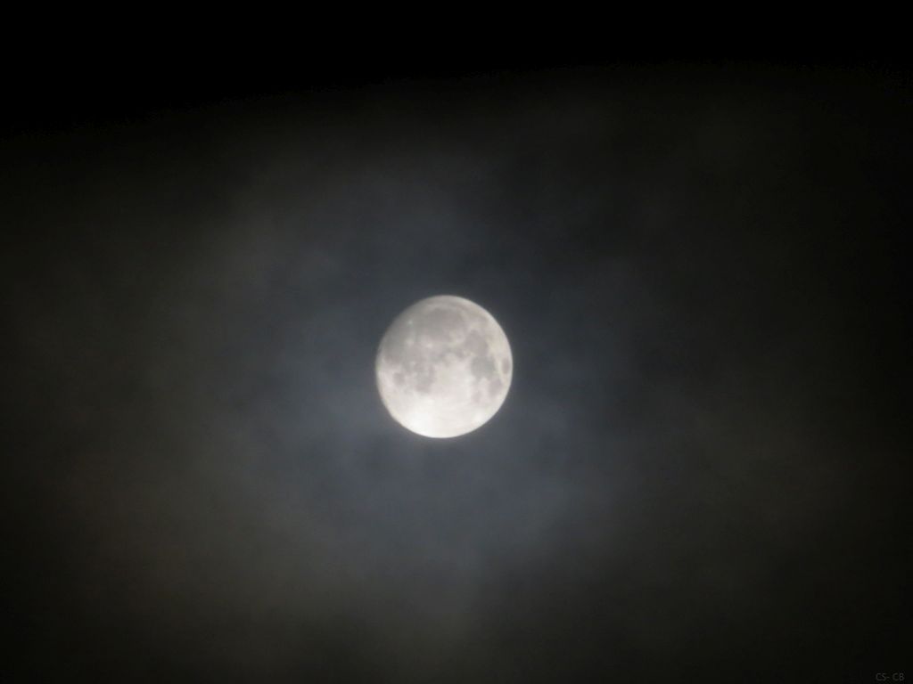 beingmyself_25's tweet photo. 27.01.2021 00:13
#Mond #Moon #NoFullMoon https://t.co/XhOwEf8SSq