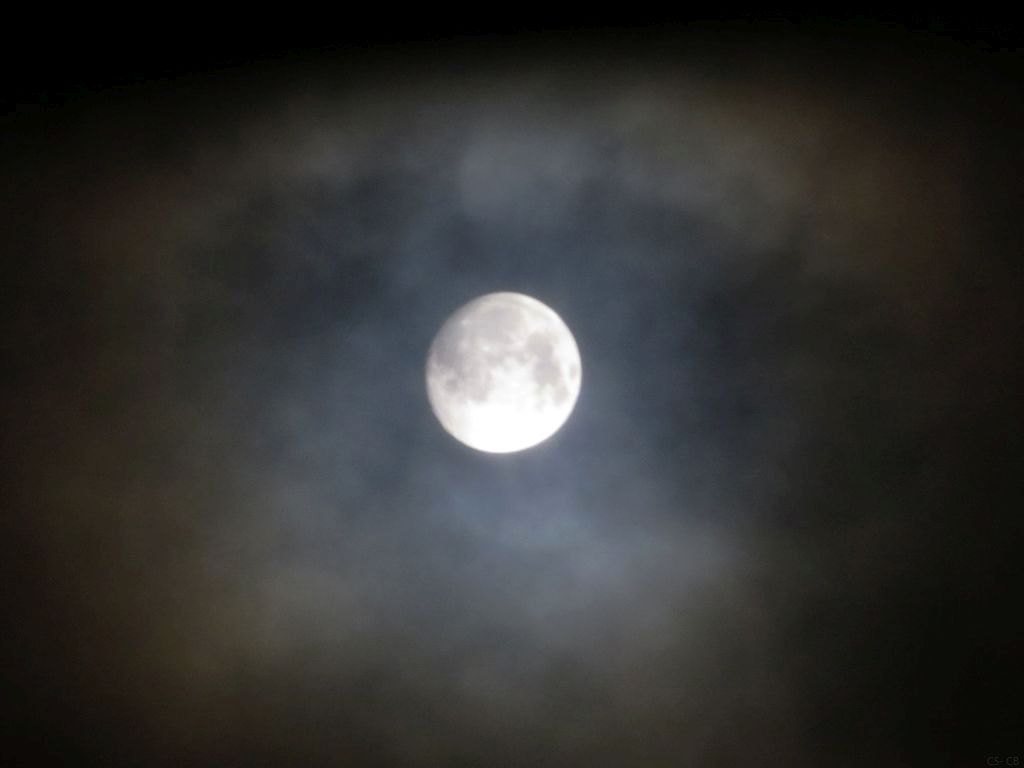 beingmyself_25's tweet photo. 27.01.2021 00:13
#Mond #Moon #NoFullMoon https://t.co/XhOwEf8SSq