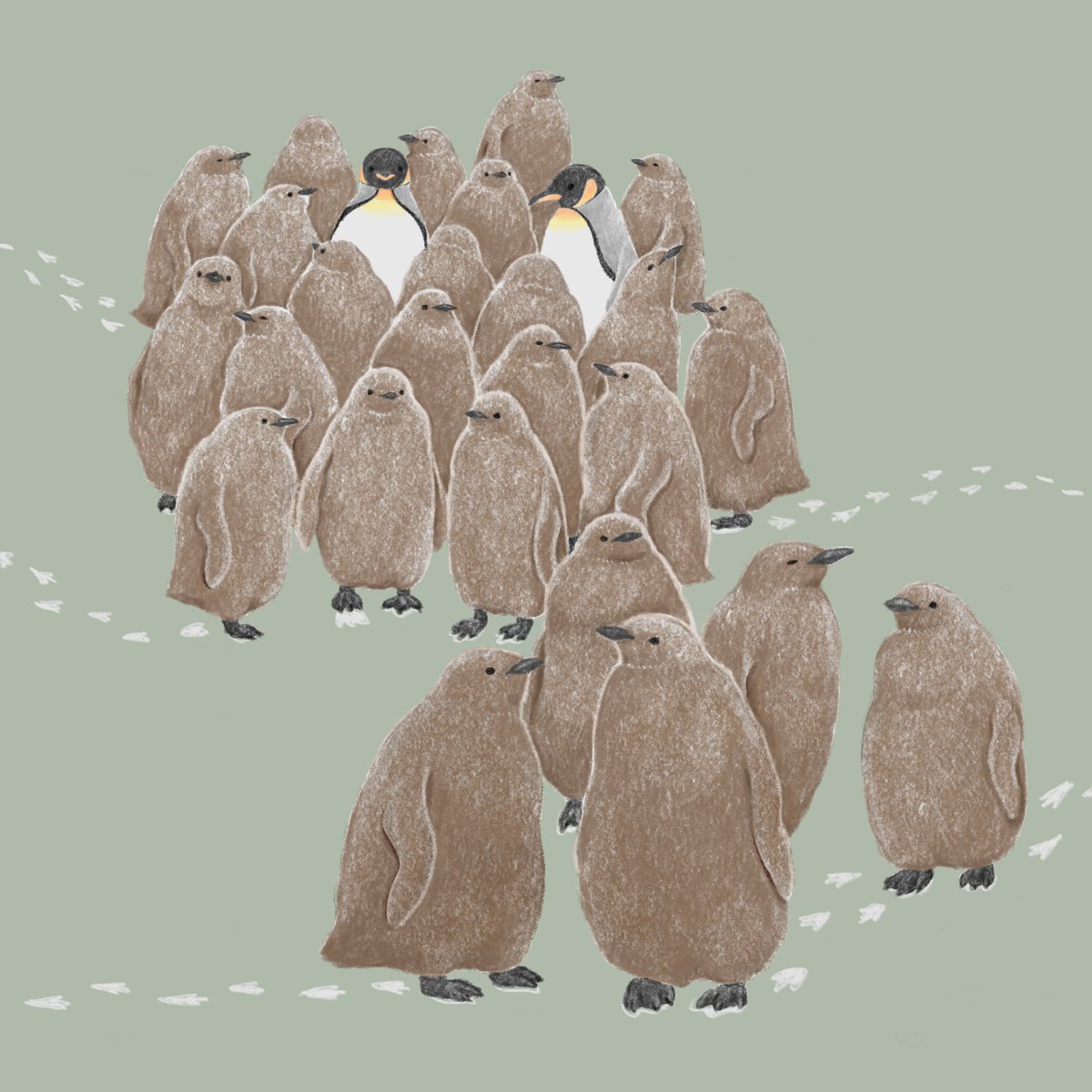 「もふもふわらわら
#キングペンギン 」|きゅう🐧多忙につき低浮上のイラスト