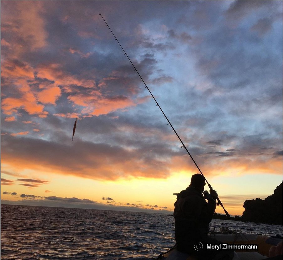 MerylZimmermann's tweet image. I'm proud to begin my PhD on fish behaviour by acoustic telemetry in the Mediterranean Sea with the @ResMed4  project. This european project between France and Spain study several species. Thanks to @Cefrem1 lab (@upvd1).

 #trackingnotslacking #acoustictelemetry #fishtelemetry