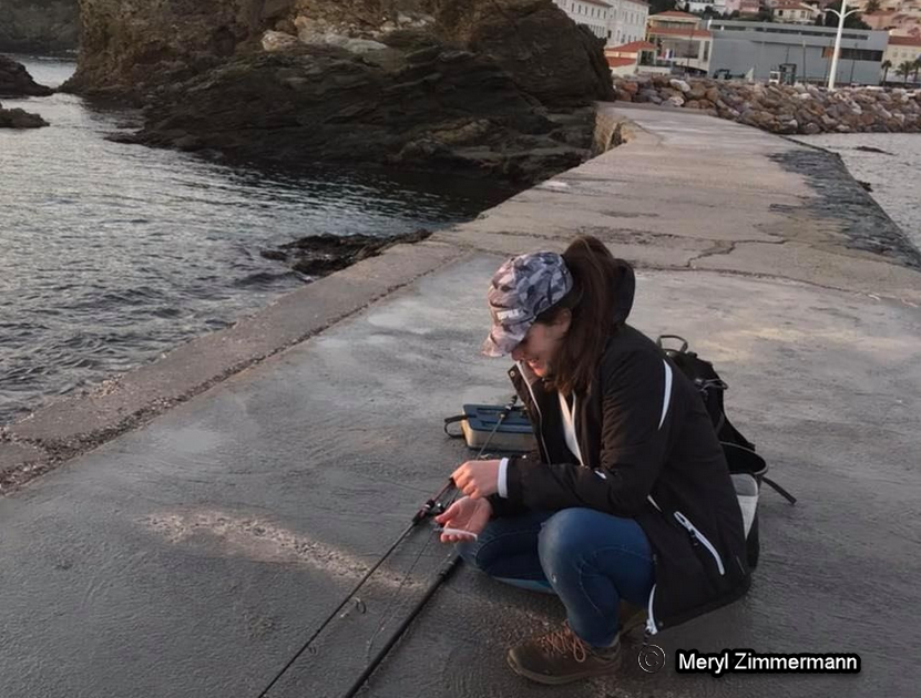 MerylZimmermann's tweet image. I'm proud to begin my PhD on fish behaviour by acoustic telemetry in the Mediterranean Sea with the @ResMed4  project. This european project between France and Spain study several species. Thanks to @Cefrem1 lab (@upvd1).

 #trackingnotslacking #acoustictelemetry #fishtelemetry