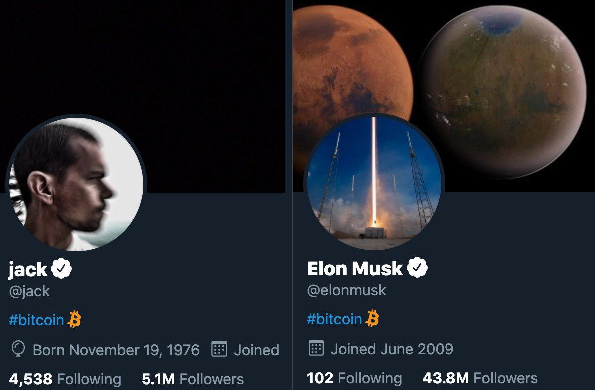 TrustWallet's tweet image. #bitcoin

How it started (@jack)             How it's going (@elonmusk)