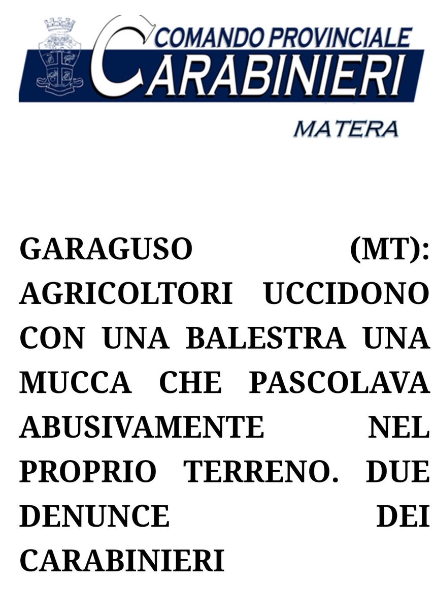 Piero Ancona tweet media