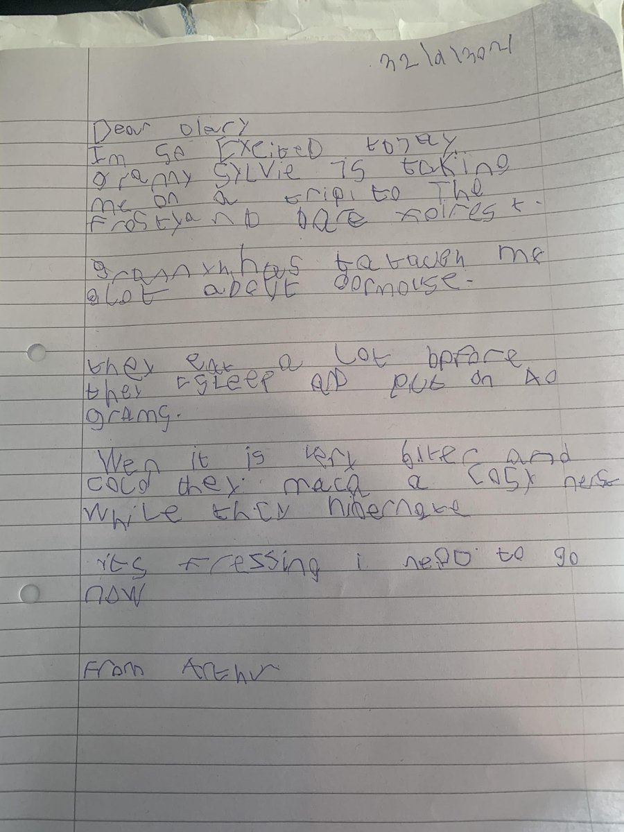 St_JamesYear2's tweet photo. Year 2 have been exploring the story 'Winter Sleep. A Hibernation Story'. The children have done a SUPERB job with their home learning, exploring a variety of creatures during their hibernation time. First up, we have the cosy dormouse ❄️ https://t.co/SOKIZwdYCy