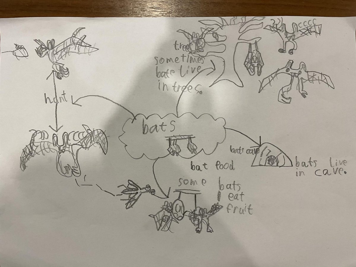 St_JamesYear2's tweet photo. Next is the fascinating, upside down bat. The children created mind maps, summarising everything they knew about a bats hibernation time. They then created their own fact files! 🦇 https://t.co/P7cKja9ijk