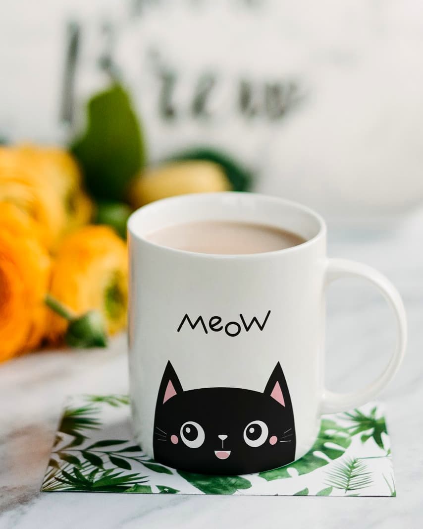 CerveGroup's tweet photo. Did you know cat lovers are more graceful, subtle, independent, intelligent, thoughtful, and mysterious than dog lovers?⁣
Psychology research says so🤚⁣
It's only 250bob
#KenyaKwetu #PremierLeague #HowtoPerfect https://t.co/irZsWLOH0g