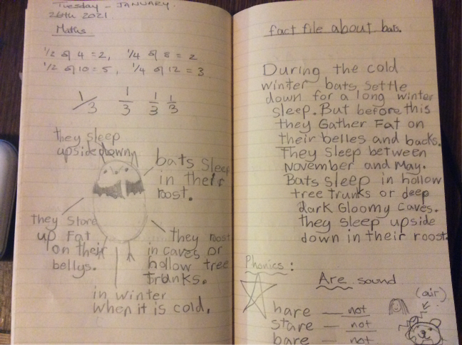 St_JamesYear2's tweet photo. Next is the fascinating, upside down bat. The children created mind maps, summarising everything they knew about a bats hibernation time. They then created their own fact files! 🦇 https://t.co/P7cKja9ijk