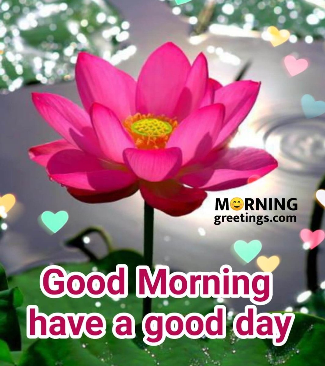 Good morning, 

Vaccine free ride is still running smoothly, 

We just done over 250 free Vaccination taxi for elderly in community. 

Feedback have been overwhelming.

We will continue to provide this service for elderly to all been Vaccine. 

Roll on next week