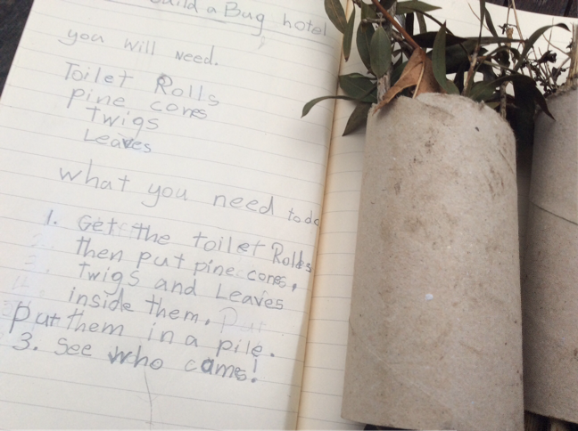 St_JamesYear2's tweet photo. Want to know how to help tiny mini-beasts during their Winter sleep (called a diapause)? Here are some amazing instructions and creations for 'How to build a Bug Hotel' 🐞 https://t.co/Hxu0OoSBc1