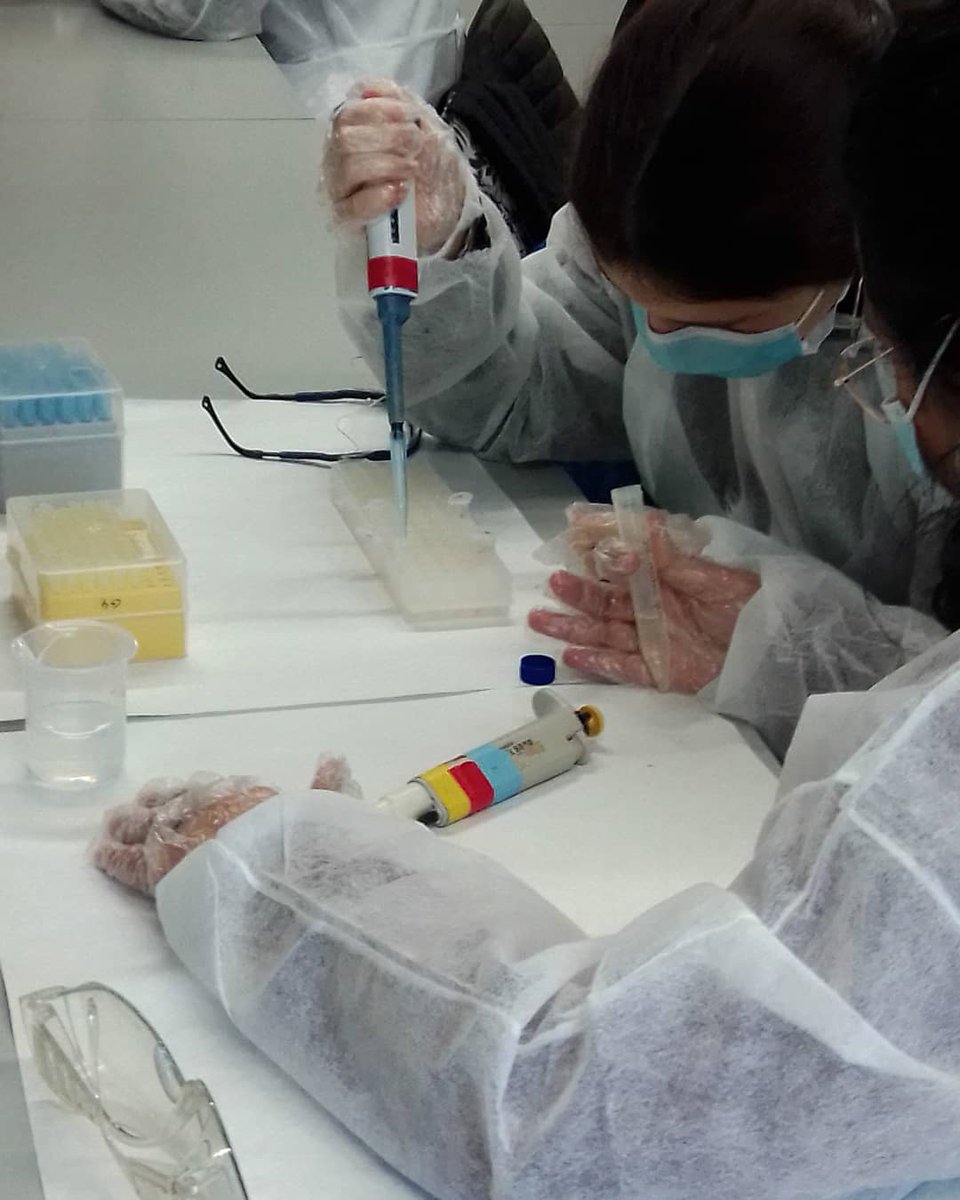 INSDolorsAleu's tweet image. Els i les alumnes de Biologia de Batxillerat van poder assistir a la Facultat de Biologia de la UB per tal de realitzar unes pràctiques de laboratori i entrar en contacte amb els materials i les aplicacions de la bioquímica en la nostra societat. #FemFuster