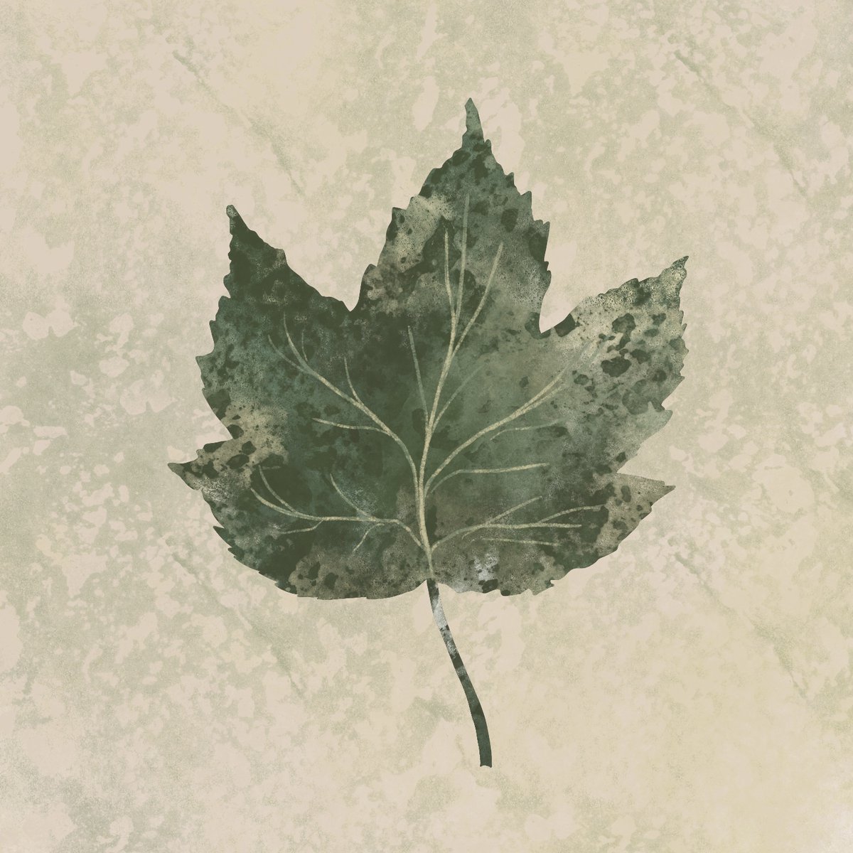 LydiaOrangeArt's tweet photo. Maple Leaf Friday 😀Creeping closer to Springtime! #waitingforspring #mapleleaf #illustration https://t.co/0NKr1auAIx