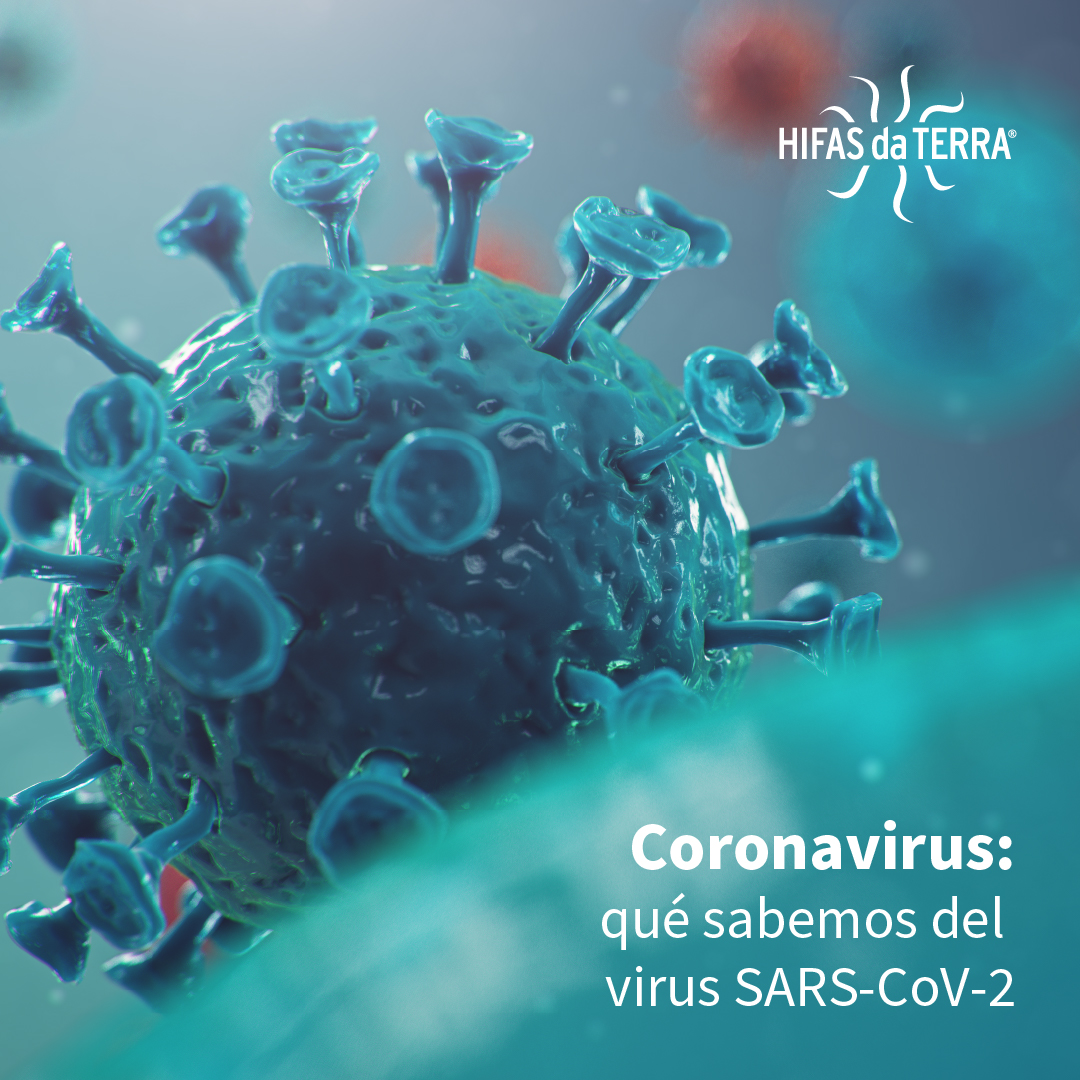 HifasdaTerra's tweet photo. COVID-19: qué sabemos del virus SARS-CoV-2 y qué hacer para prevenirlo 👆🏽 Toda la información en nuestra web 👉
https://t.co/Krri2oNb0q

#HifasdaTerra #mushrooms #micoterapia #Salud #HongosMedicinales #Hongos #Natural #defensas #defensasnaturales #prevención #covid19 https://t.co/ehTYw68QoB