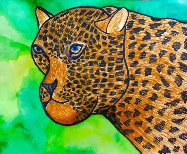 ArtNwc's tweet image. We❤it when girls share their work with us! Fatema Zahra Mithwani in Year 7has produced these wonderful animal sketches.✍🙌 
#NWCAlwaysLearning #GuidedHomeLearning #NWCFamily 
@GDST