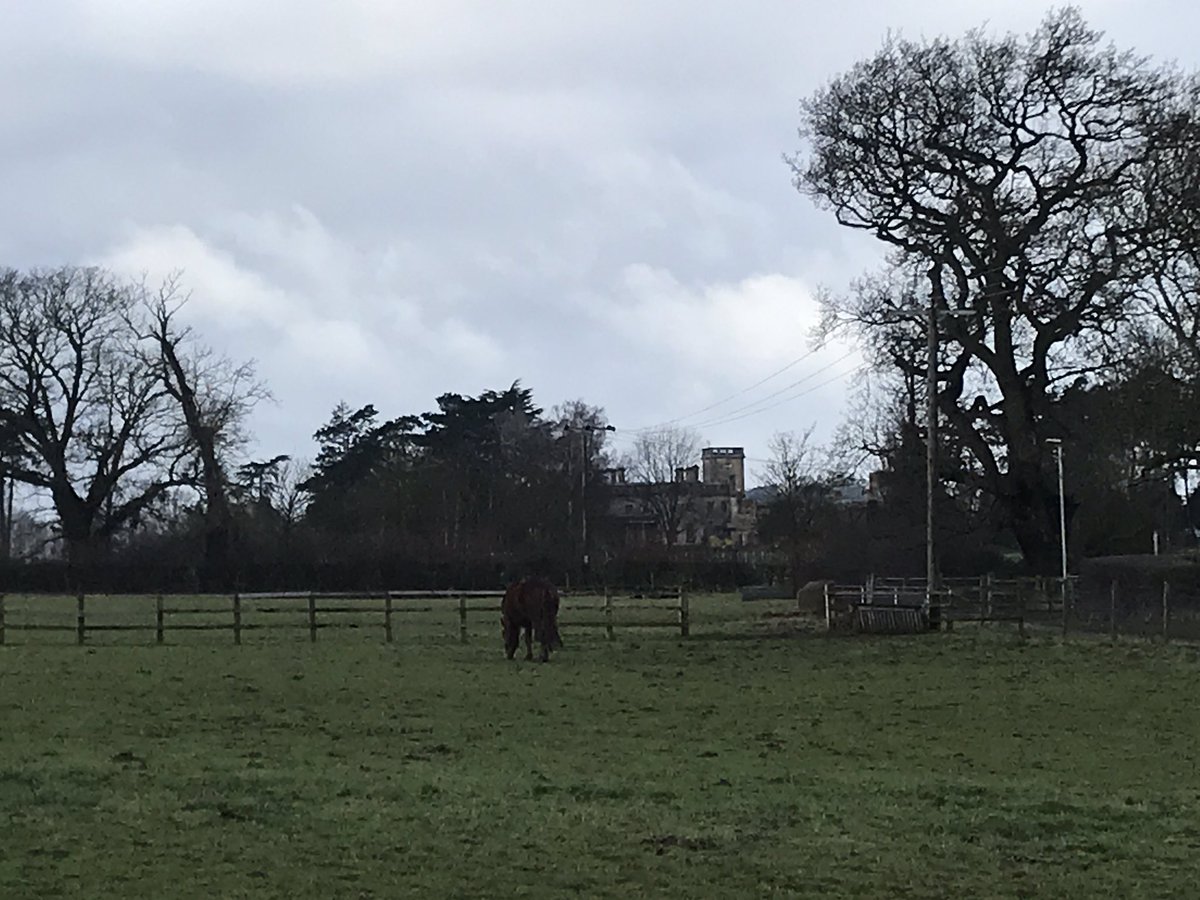 ejh_the_hall's tweet photo. #RubyRubyRubyRuby in front of the Brackenhurst Hall. A sight for sore eyes 🥰 Hope had scampered off to have some rebellious teenage freedom🙈 https://t.co/lIBKXNn2u4