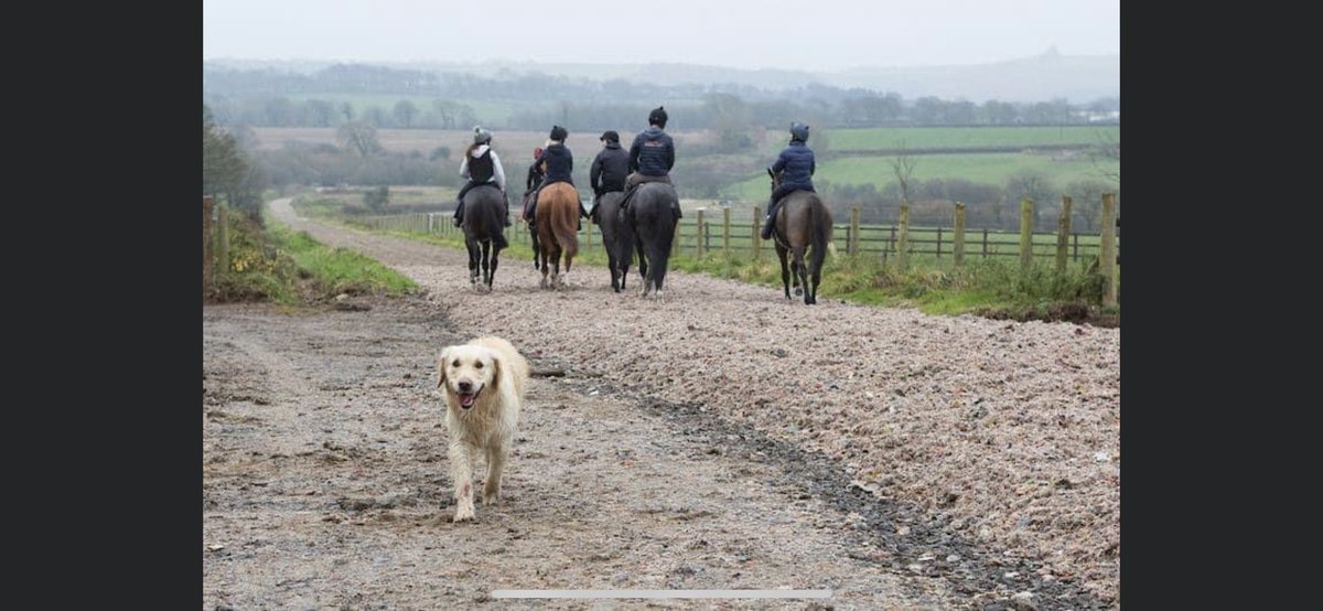 Job opportunity 
Work riders and yard staff acquired full time please contact Peter on 07811111234 email info@peterbowenracing.co.uk or michaelbryanbowen@icloud.com