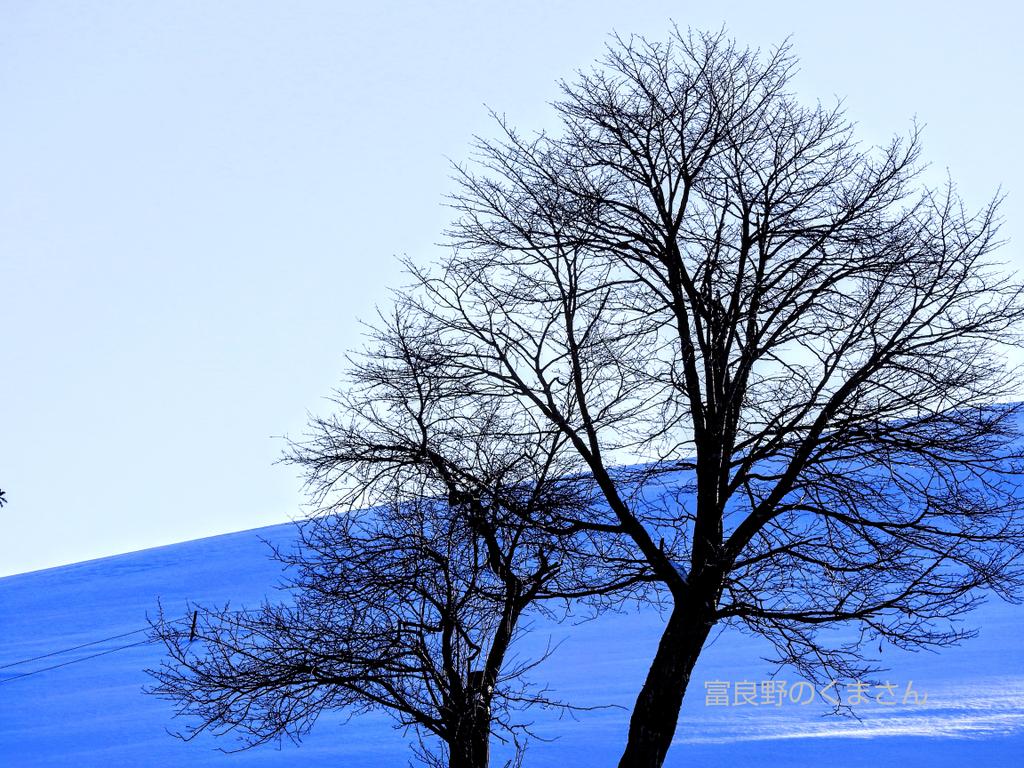 恋人の木 Hashtag Pa Twitter