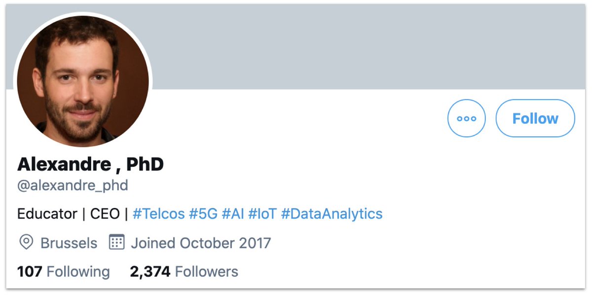 This was the first account we found. "Alexandre, PhD", apparently a CEO. But no surname, no indication of what he's a CEO of, and a GAN-generated profile pic.