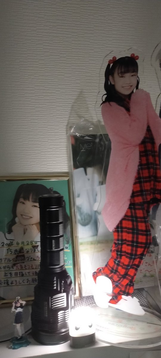 MagnoliaSpirits's tweet photo. #フラッシュライトとハロプロ
#ライトととるのがいいと聞きました
#パンダさんパワー
#nitecore
#TM39
#FSK https://t.co/v5dAvpoThu