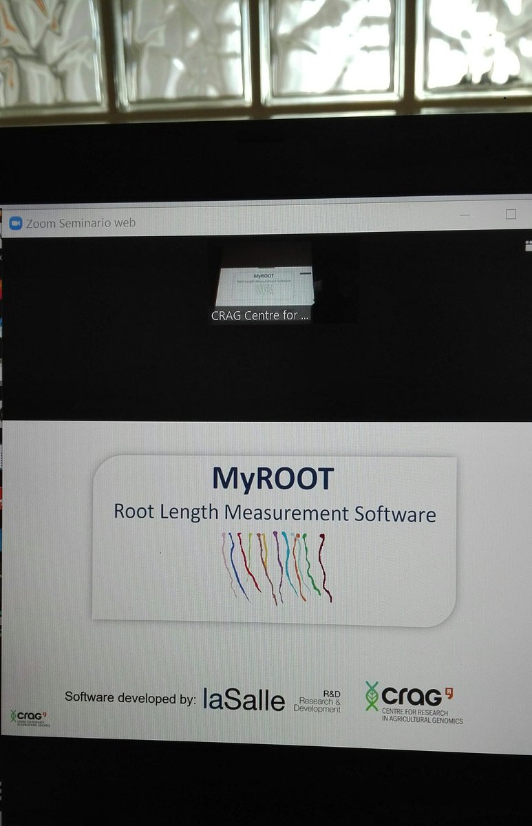 xavi_sevillano's tweet photo. Attending @Isabel_Betegon PhD thesis presentation, talking about #MyROOT - collaboration between @LaSalleBCN and @CRAGENOMICA with @Ana_CanoDelgado @agalegon https://t.co/ZrjCZ7p3If