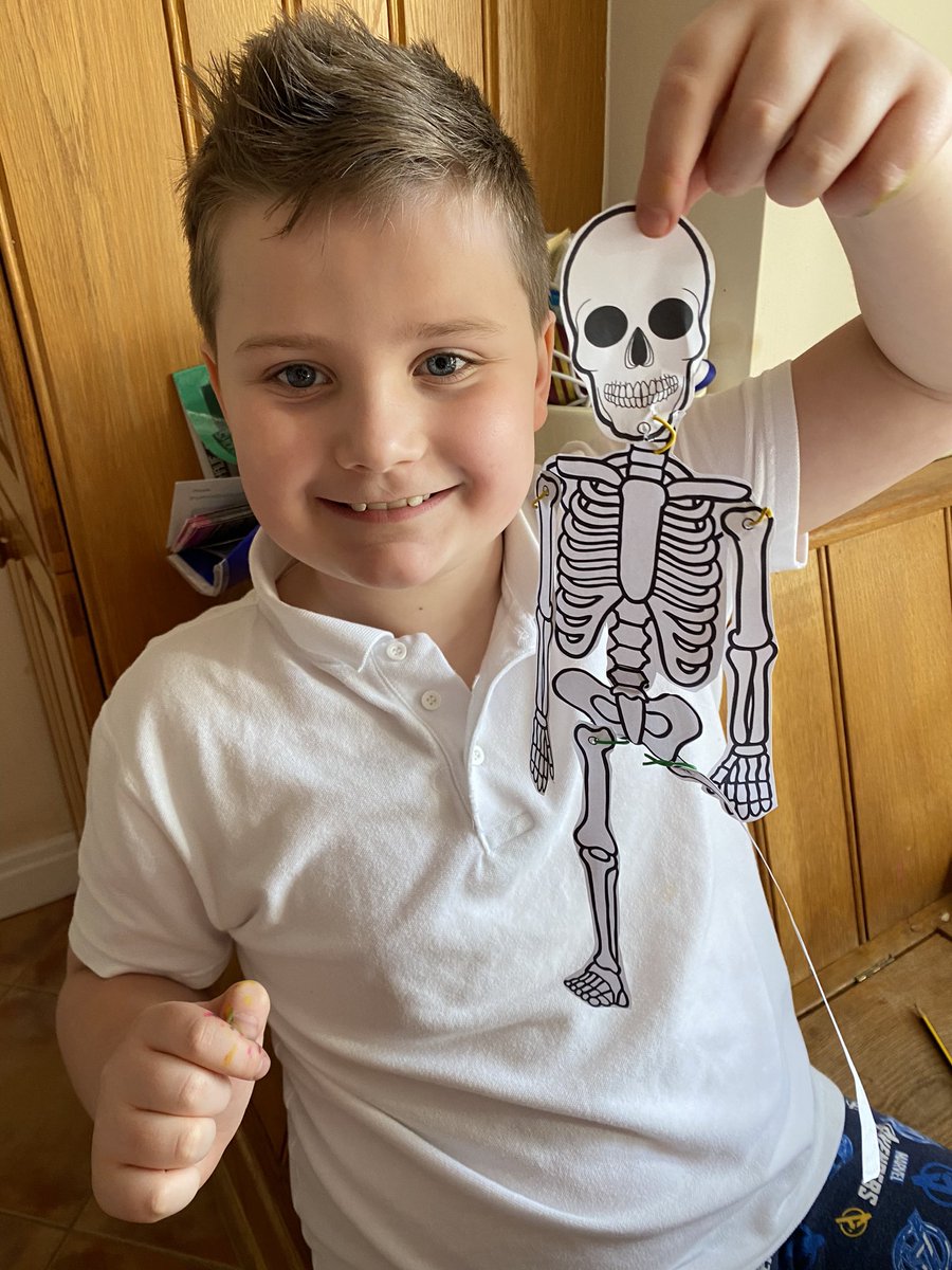 bobbisuez's tweet photo. Skeletons!! @Geckosclass https://t.co/TrsDP6uSQy