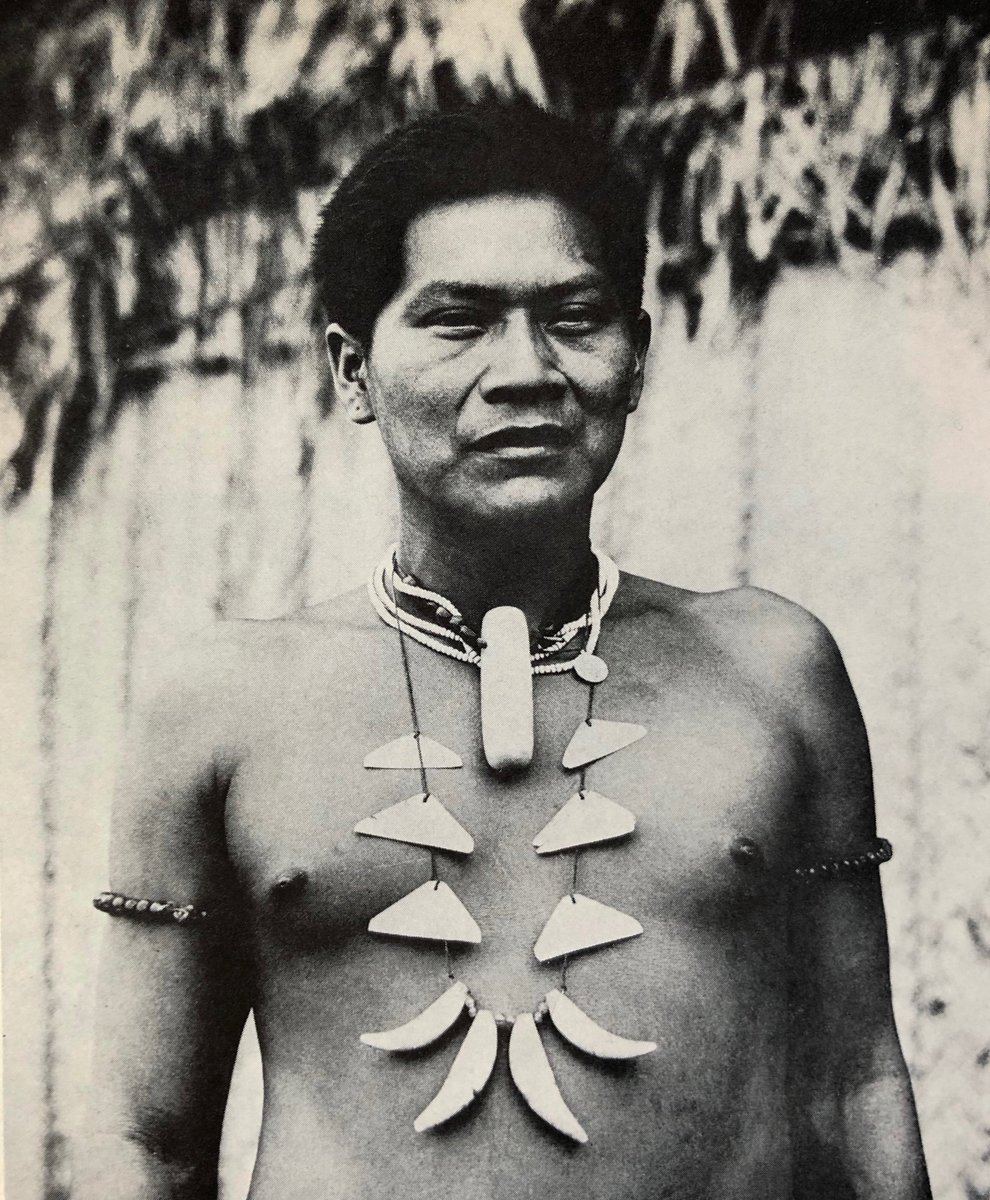 This fascinating anthology of Colombian Indigenous music, featuring abstract and otherworldly flutes, pan pipes, whistling, voices, bows, rattles, drums and maracas recorded between 1963 and 1972, is available for Flac and MP3 download on my blog:
…public-world-traditional.blogspot.com