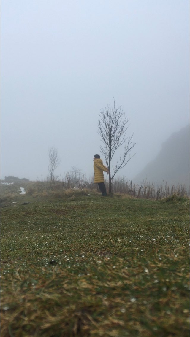 janicemparker's tweet photo. Student placement Week7 Each in our place & space. Circling around the questions: What do we find when we place different frames around a practice ?
How do we synthesise nature and practice ?#Explorations #Exchange #Reflections #MovingWithNature #OutdoorPractice https://t.co/wAewZTRVjD