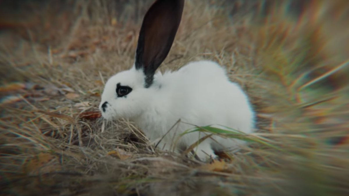 Ben Howard tweet media