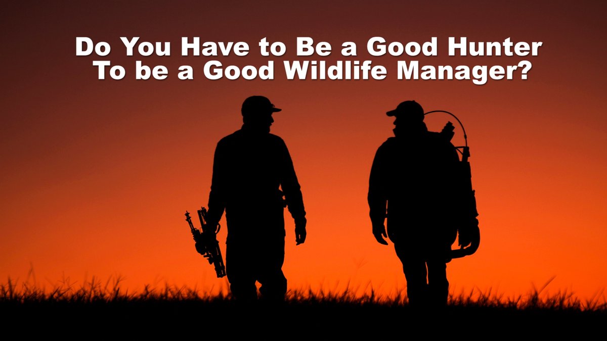 TheDHP_'s tweet photo. Friday Fact or Fiction?

Do You Have To Be a Good Hunter To Be a Good Wildlife Manager?

https://t.co/qC3vC6ei3m

#hunting #wildlifemanagement #habitatmanagement #conservation https://t.co/HfrHXIGhkT