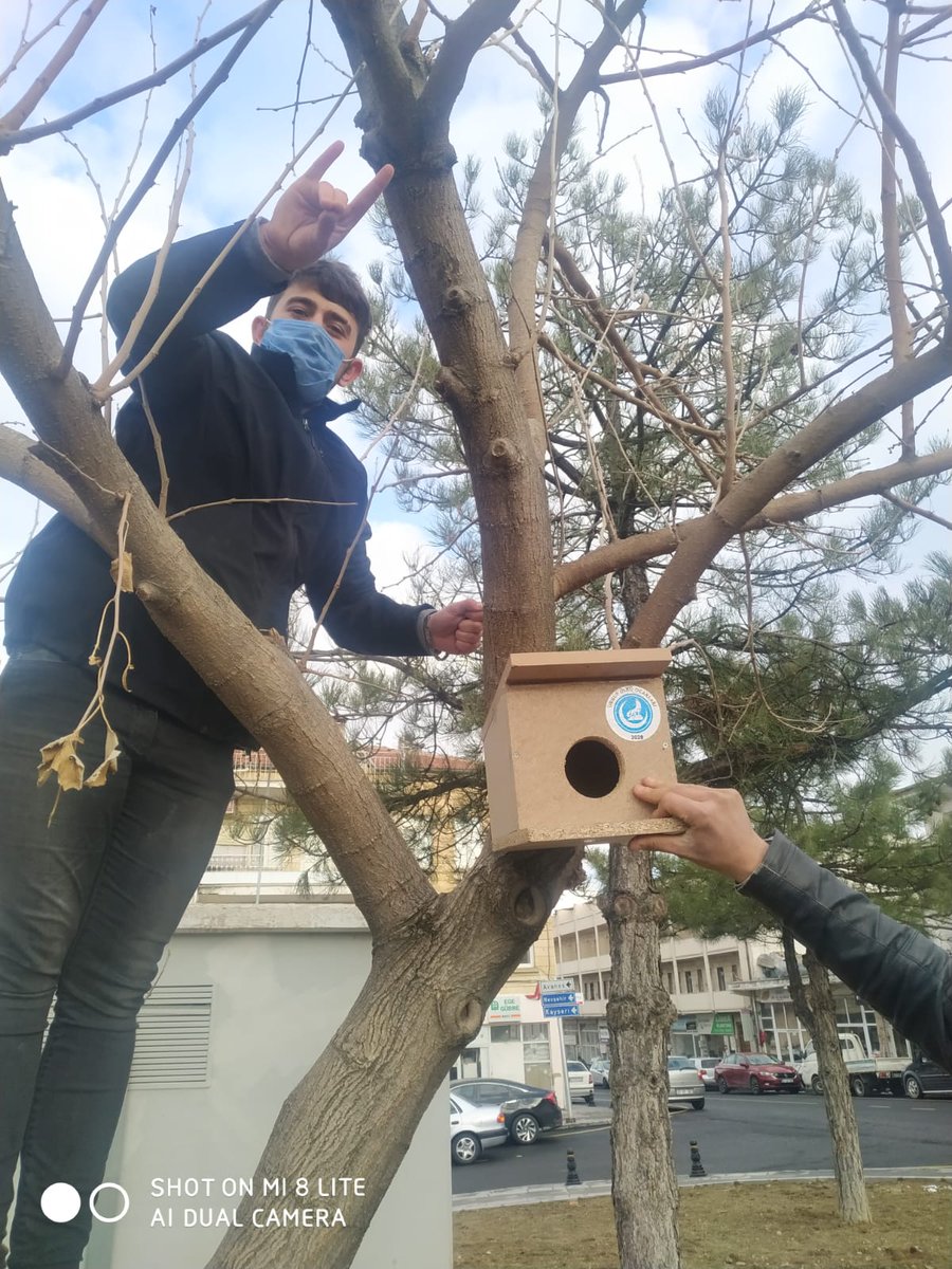 aliimir5050's tweet photo. Kış aylarının  hissedildiği bu günlerde Doğadaki Kanatlı Dilsiz dostlarımızı unutmadık

VAROLSUN ÜLKÜ OCAKLARI https://t.co/jUNyvc0ru4