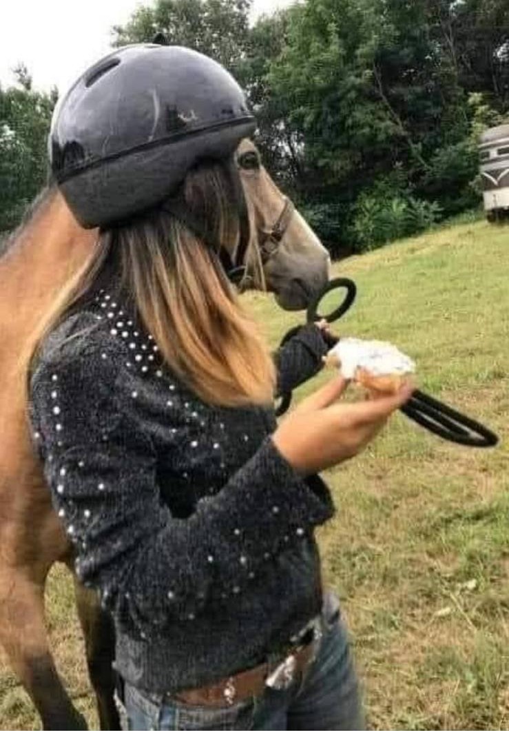 Ecohoof's tweet photo. How's got the best caption for this photo
#ponyhour #Tackroomfriday
#MagicInAPot
#ItsNotJustForHoofs https://t.co/ynZGJNBWFU