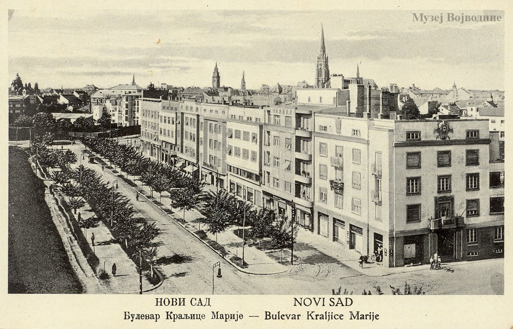 AVojvodine's tweet photo. Нови Сад, данашњи Булевар Михајла Пупина, 1925.
Фото: Музеј Војводине https://t.co/iVxlfrOtAA