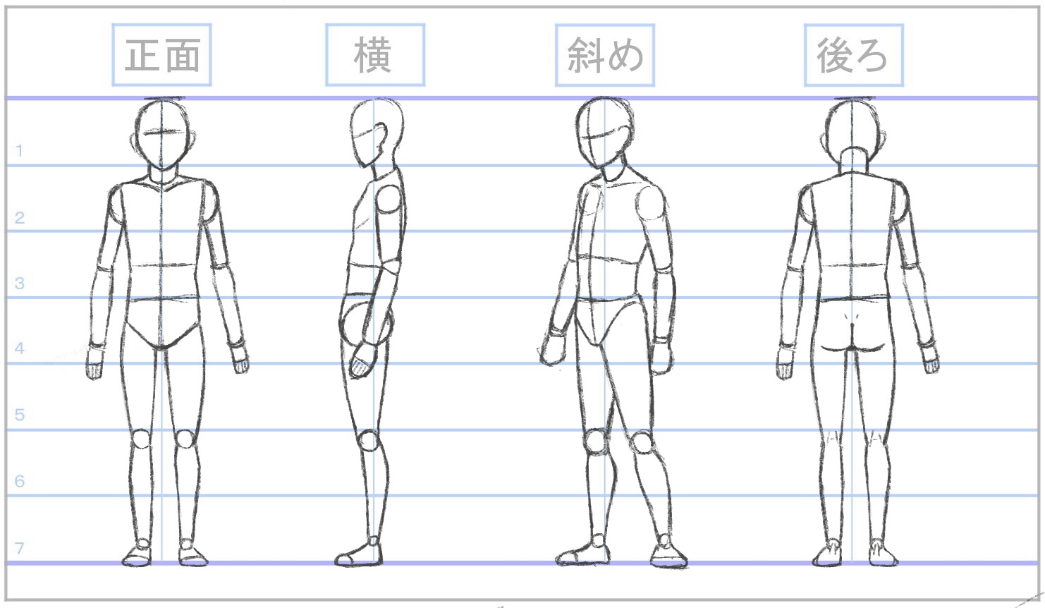 そーげつ 捕虜フィット イラスト練習13日目 線画初級コースstep2の5日目 昨日に引き続き女性素体の下半身 先日の男性素体と見比べて ちゃんとおにゃのこに見えてるじゃろうか 今回までで男女の描き分けの基礎みたいなのは少しは吸収出来た筈 明日