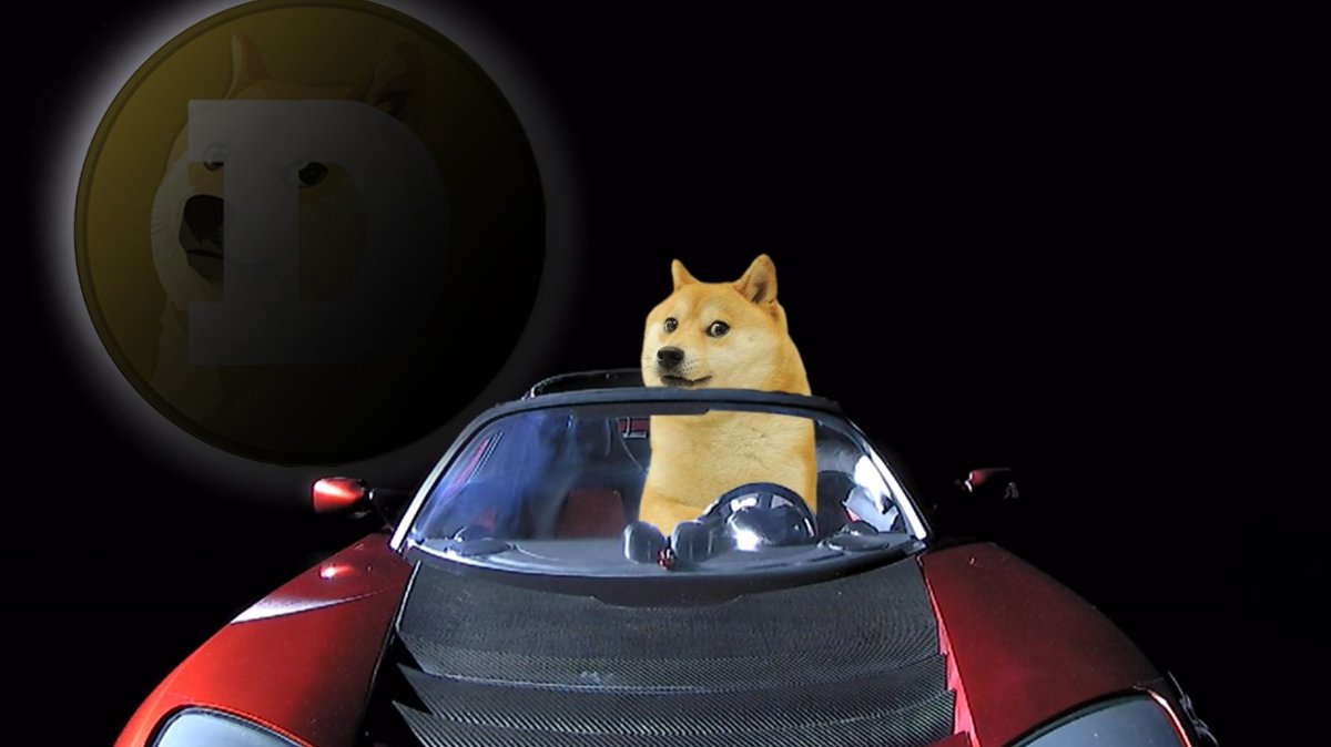 #DOGE #dogecoin #ToTheMoon #ElonMusk #288