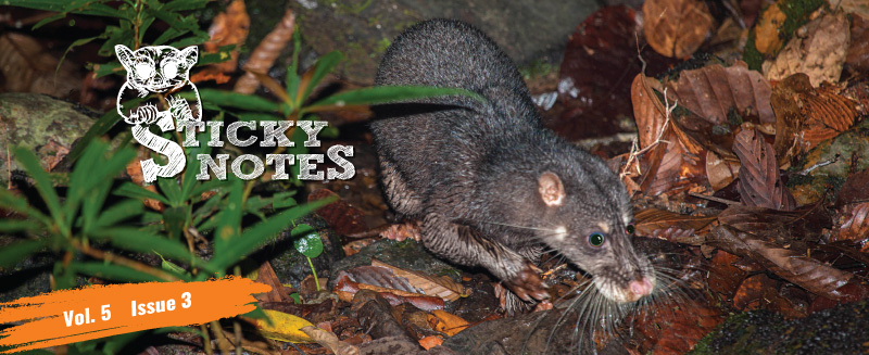 Sticky Rice Travel tweet media