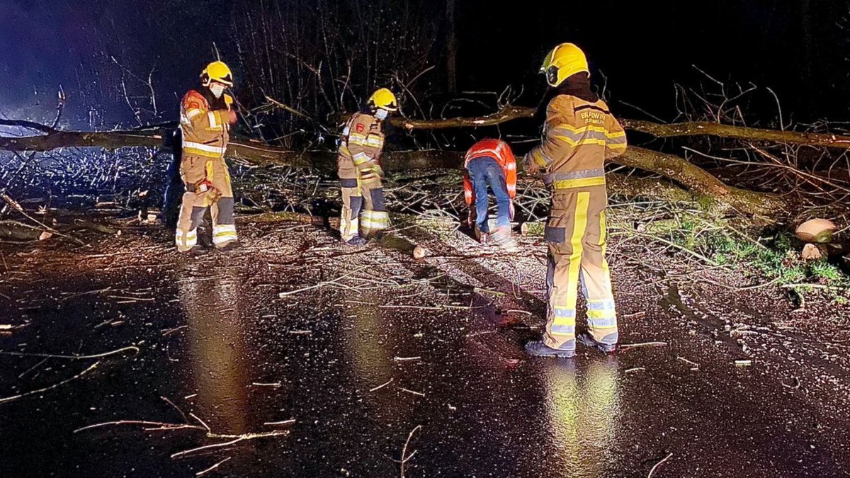 Valkenburgse brandweer redt 'Bilboo' uit benarde positie • Lees meer op:. #TV #Valkenburg.