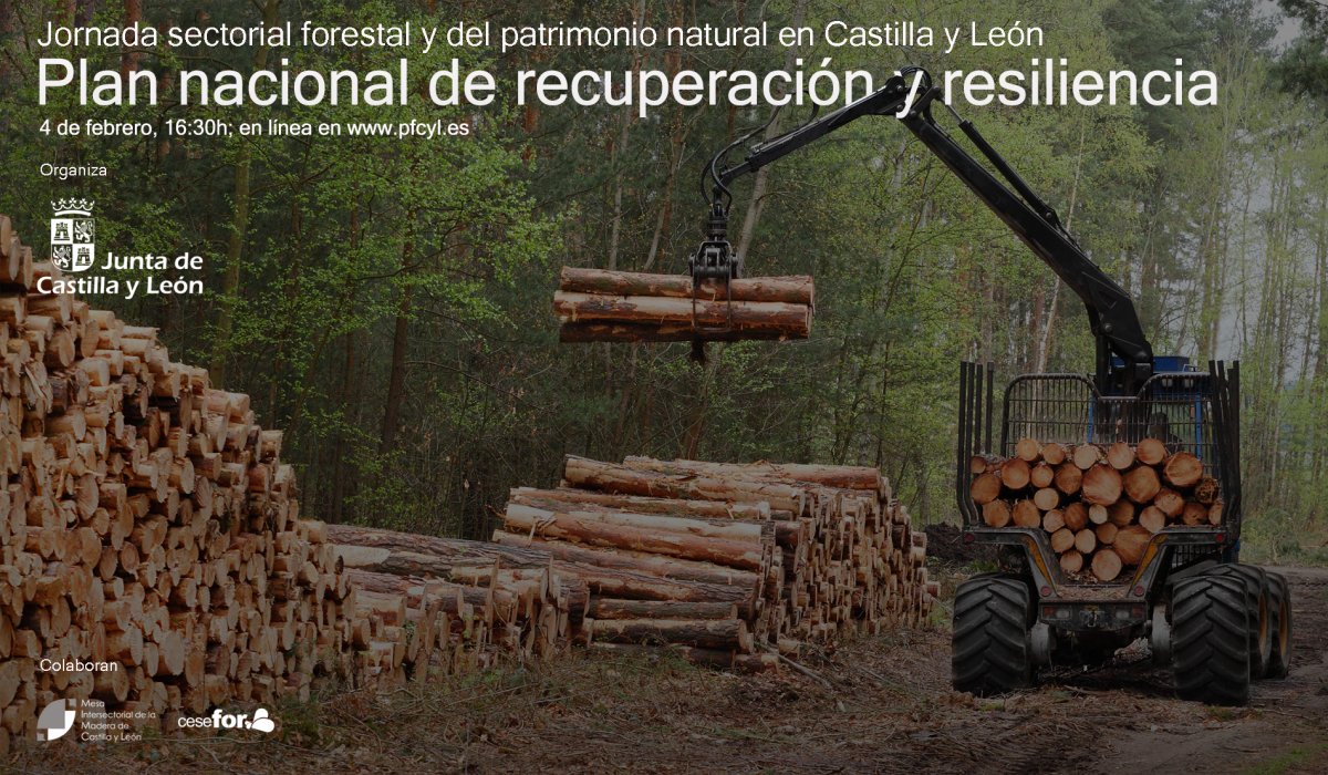 naturalezacyl's tweet photo. Hemos organizado una jornada sectorial forestal en Castilla y León para elaborar propuestas para el Plan Nacional de Recuperación y Resiliencia. Colaboran #MIMCYL, la Mesa de la resina y @FCesefor.
🗓️ Jueves 4 de febrero
🕟 16.30 horas
✏️ Inscripciones: https://t.co/cSG55npMsG https://t.co/mRDJosq6NL
