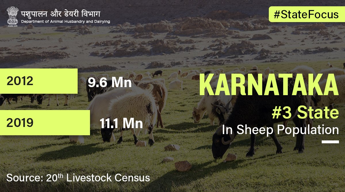 #Karnataka, the state with the third-highest #SheepPopulation in #NewIndia, recorded a growth of 15.31% from 2012 to 2019!

#AnimalWealth #Unite2FightCorona #StateFocus #Livestock