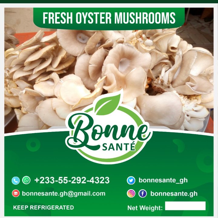 bonnesanteghana's tweet photo. #BonneSanté #keto #ketodiet #ketolife #weightlossjourney #weightloss #healthy #healthylifestyle #HealthyFood #mushroom #kebab #wellness #foodsecurity #nutrientsecurity #Accra #Ghana #priority https://t.co/NBnOTtIUXG