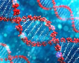 LSI Exeter (@lsi_exeter) on Twitter photo <a href="/LSI_Exeter/">LSI Exeter</a> proud to have on-going access to cutting-edge technology <a href="/UniofExeter/">University of Exeter</a> Sequencing Facility bit.ly/3a5G9JL for important work in genomics + transcriptomic analyses. <a href="/PagliaraExeter/">MicrofluidicsExeter</a> <a href="/LSI_Exeter/">LSI Exeter</a> proud to have on-going access to cutting-edge technology <a href="/UniofExeter/">University of Exeter</a> Sequencing Facility bit.ly/3a5G9JL for important work in genomics + transcriptomic analyses. <a href="/PagliaraExeter/">MicrofluidicsExeter</a>