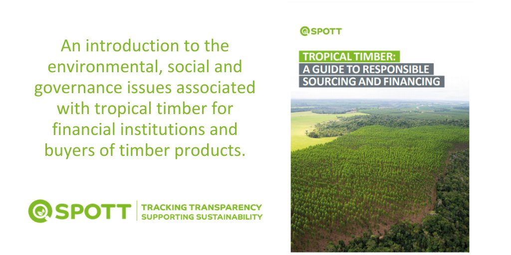 NEW: A guide to responsible sourcing and financing for the tropical timber sector. This new report covers the key #ESG issues that financial institutions and buyers should be aware of. Download it here: spott.org/news/tropical-…
