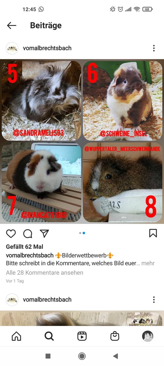 Bitte bis heute 20 Uhr für Bild Nummer 7 abstimmen