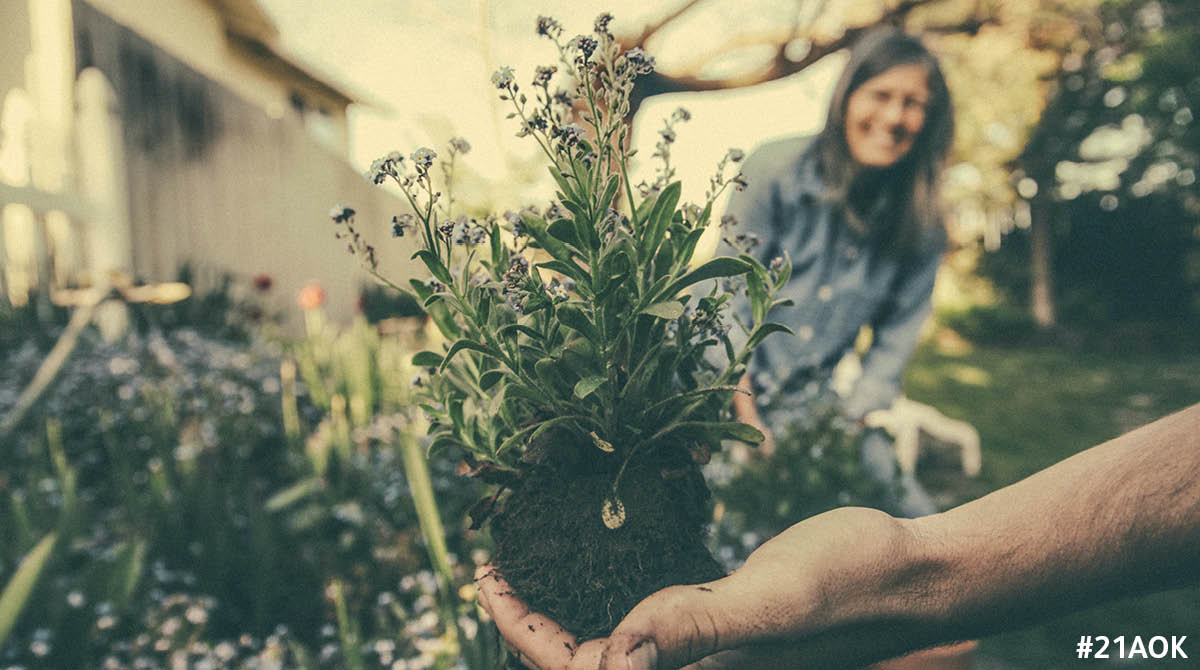 End the week feeling good by performing a random #actofkindness! 🙌

Maybe plant something new in your garden or give a colleague a compliment.

What will you be doing? 

#21AOK