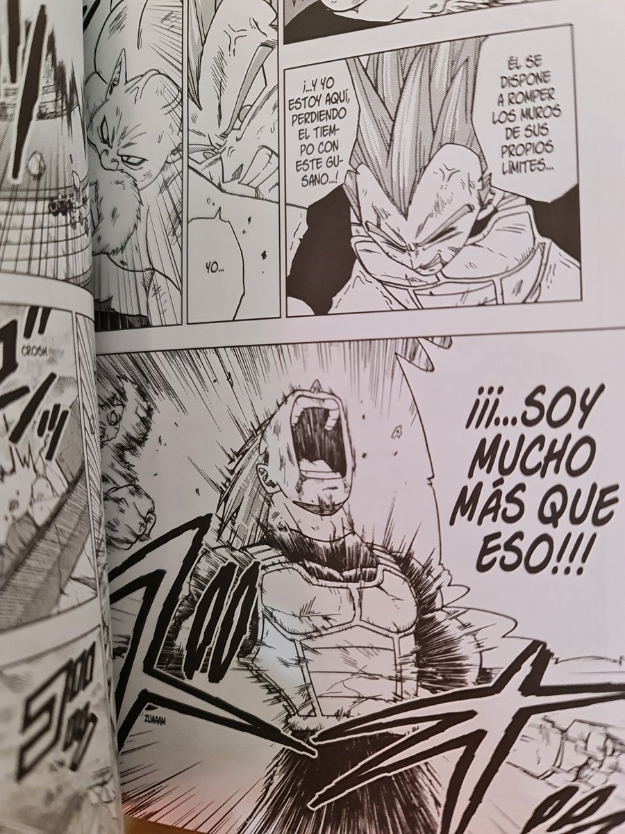 Danipsx's tweet image. #Vegeta dandolo todo en el #torneodepoder en mi lectura de ayer de #DragonBallSuper