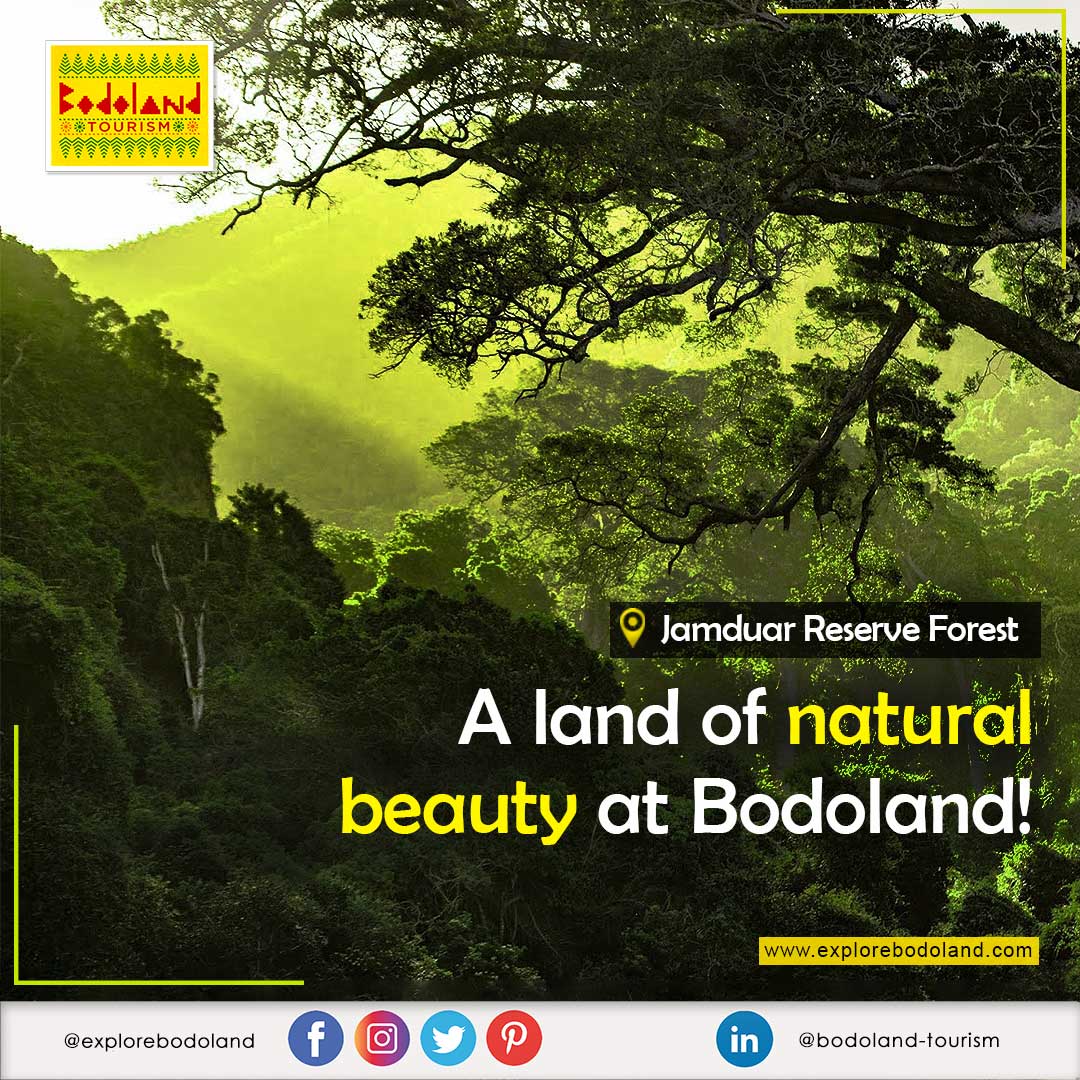 explorebodoland's tweet photo. Situated in the tri-junction of Bhutan, Assam, and West Bengal- The Jamduar Reserve Forest is a land of natural beauty.
Visit Bodoland and experience the beauty of nature.

#jamduar #jamduarreserveforest #reserveforest #assam #beautyofnature #ExploreBodoland #BodolandTourism https://t.co/kVSrmr5ZZr