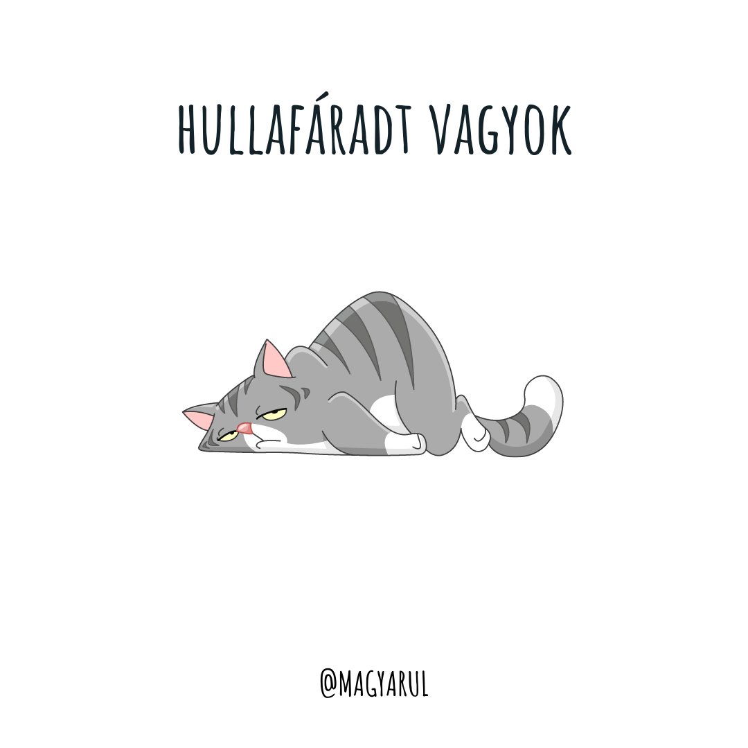 MagyarulOnline's tweet photo. lit. 'corpse tired'
~ dog-tired, exhausted, extremely tired
How do you say it in your language? 😊
szinonímák: kimerült, holtfáradt, borzasztóan fáradt
e.g. Ezen a héten rengeteget dolgoztam, hullafáradt vagyok. - I worked a lot this week, I’m extremely tired
#hungarianlanguage https://t.co/0TCsNJf3wL