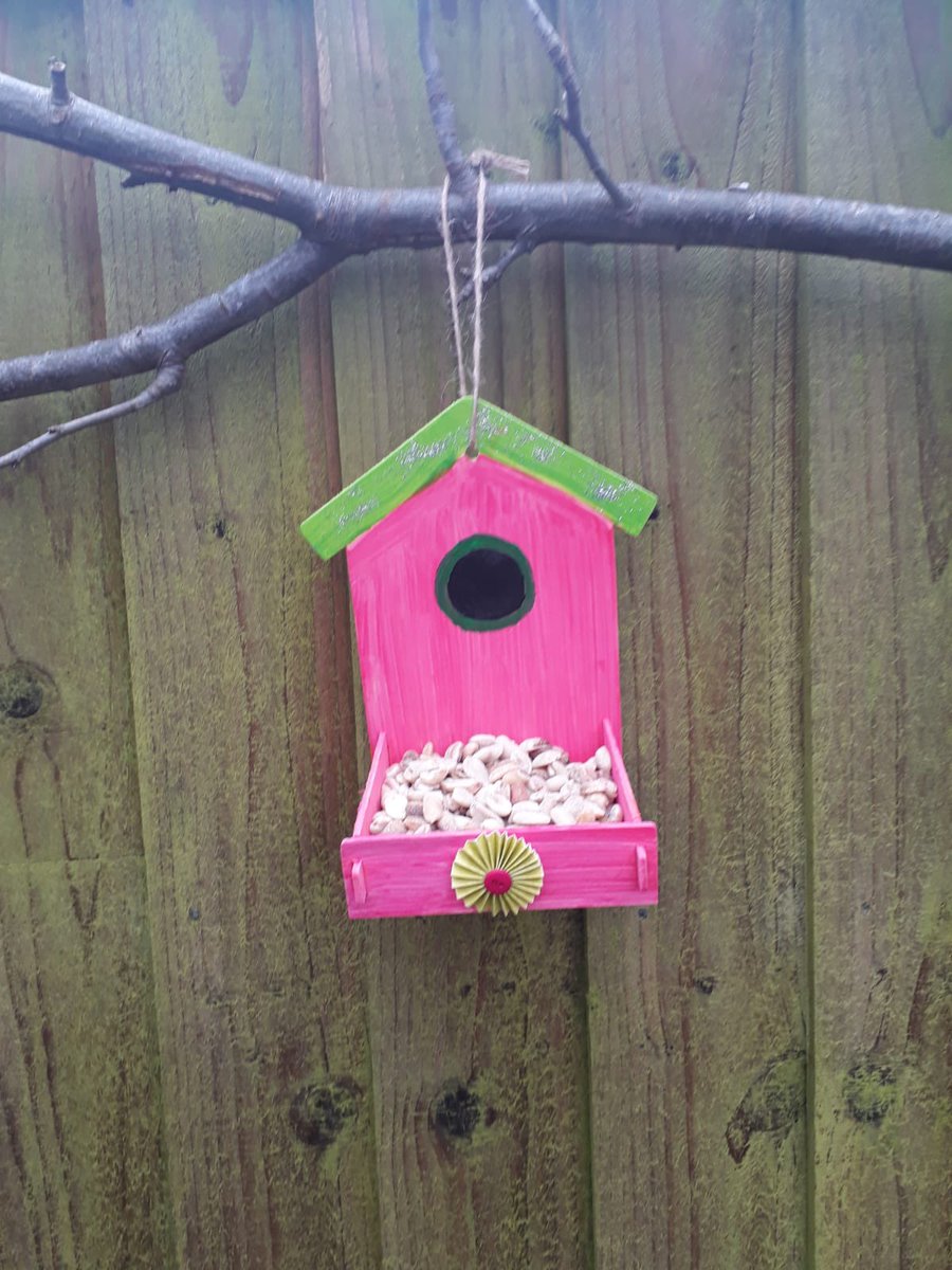 HesitantWeasel's tweet photo. Additions to BrandrethTowers#2 for BGBW and #MICHBIRDSOFHOPE by Shelly x https://t.co/QhBBKT7PUE