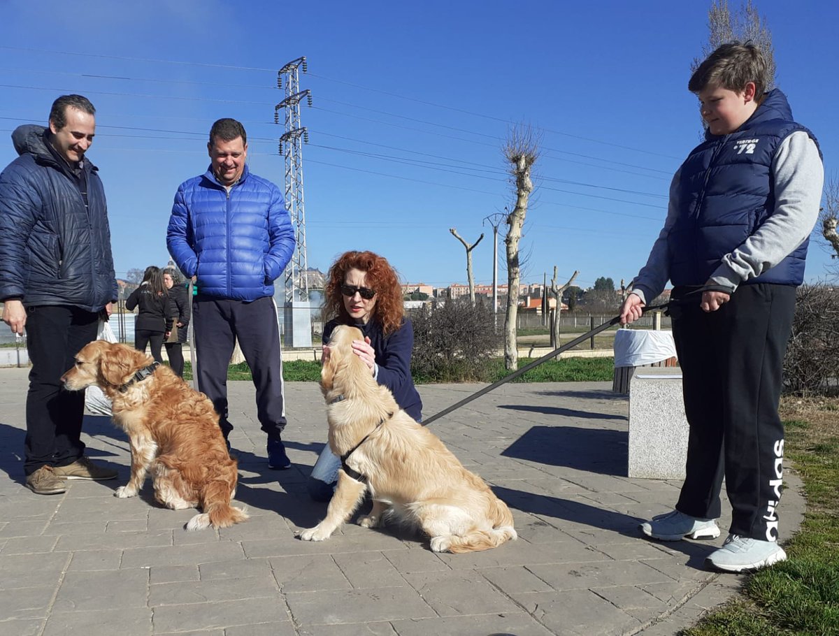 OfBienAnimal's tweet photo. No podemos realizar talleres presenciales,los retomamos de manera online.Publicaremos en redes sociales 4 vídeos:
✅Necesidades básicas del perro en la ciudad.
✅Ansiedad por separación.
✅Parques caninos.
✅Como conseguir un paseo tranquilo.
#VeterinarioLaSalle
#ClubCaninoBaucan https://t.co/J6rOzSziGr