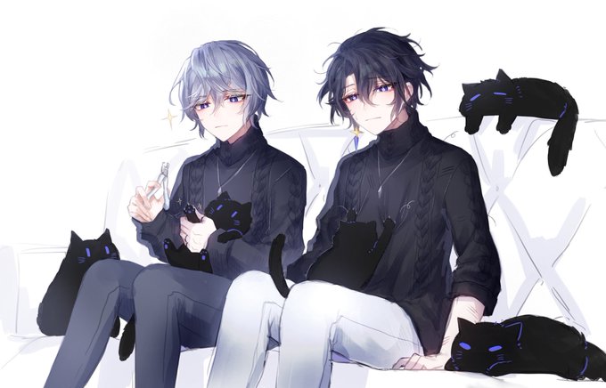 multi-cat household 